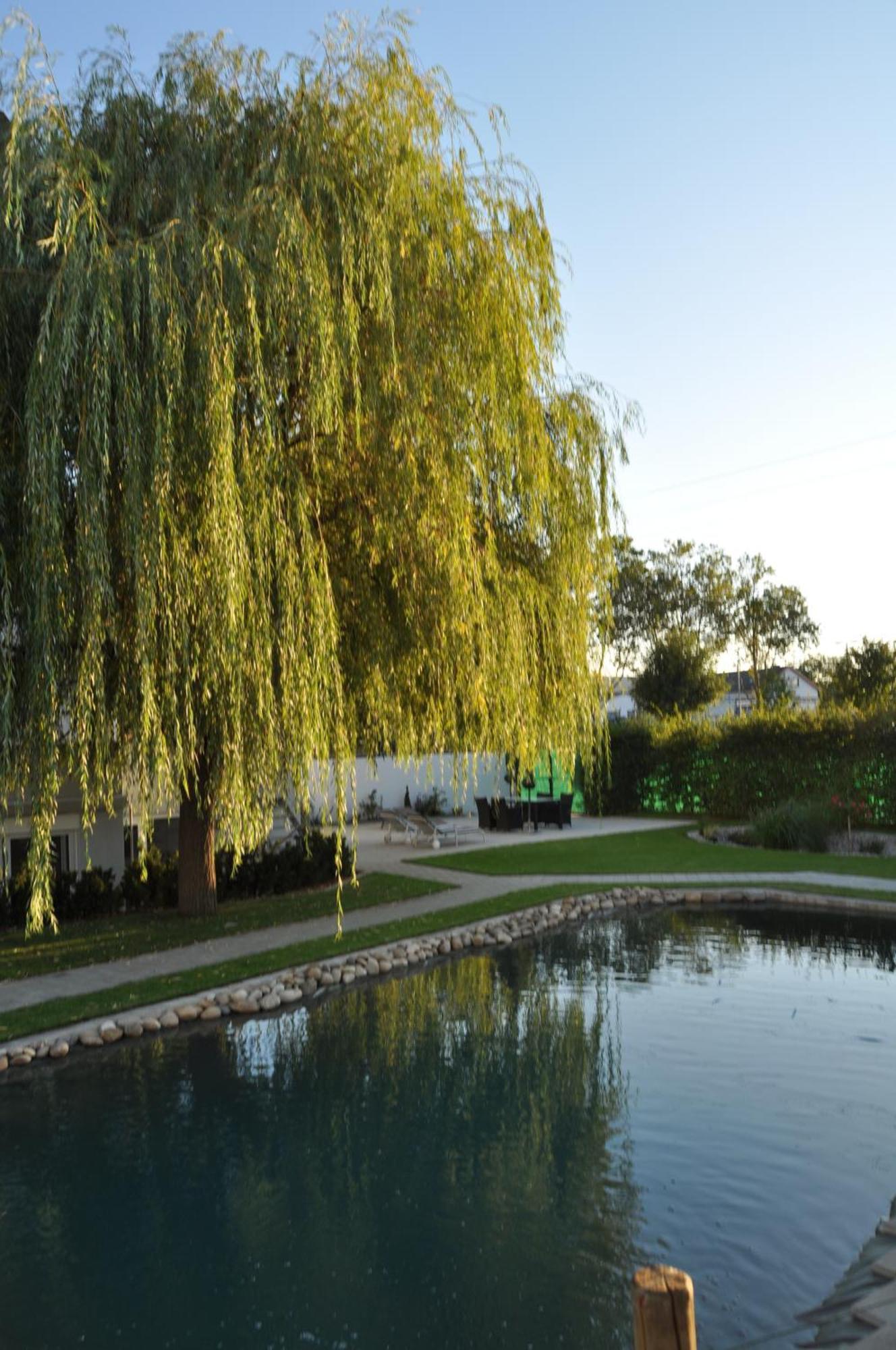 Kirchers Park & Wellnesshotel Kaiserstuhl Garni Endingen am Kaiserstuhl Eksteriør billede